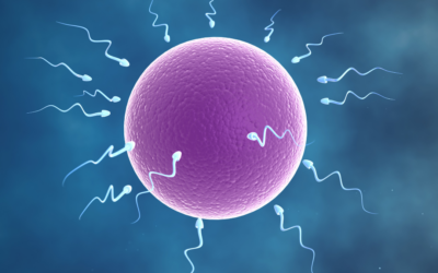 Myo-inositolo e parametri spermatici