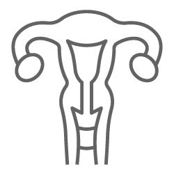 ginecologia-trasparente fertilità femminile